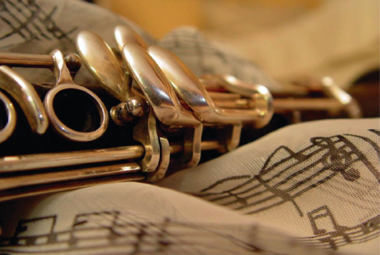 Cartel del evento «Concierto Conservatorio Profesional 2019»